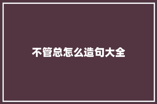 不管总怎么造句大全