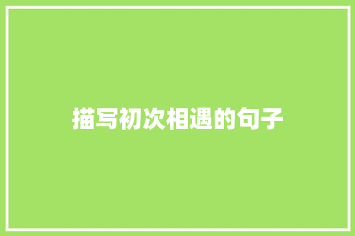 描写初次相遇的句子