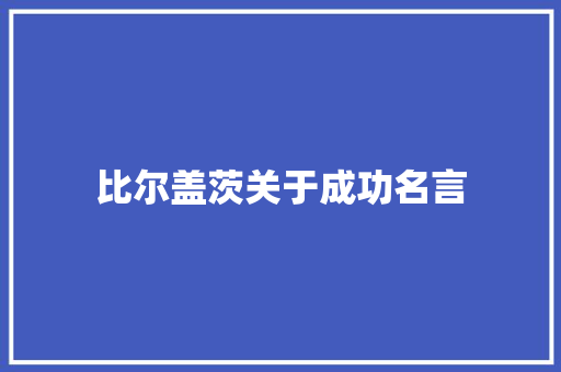 比尔盖茨关于成功名言
