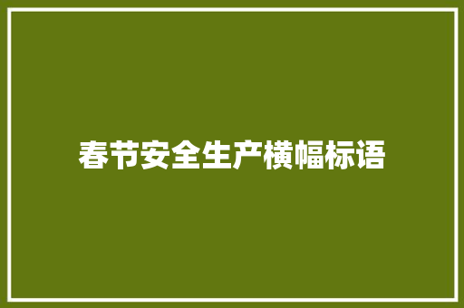 春节安全生产横幅标语