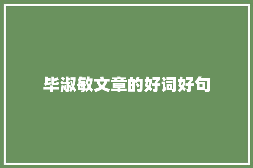 毕淑敏文章的好词好句