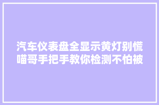 汽车仪表盘全显示黄灯别慌喵哥手把手教你检测不怕被坑 汽车知识