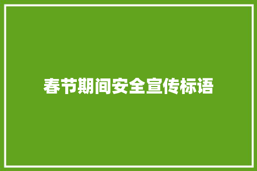 春节期间安全宣传标语