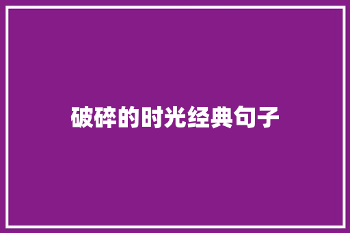 破碎的时光经典句子