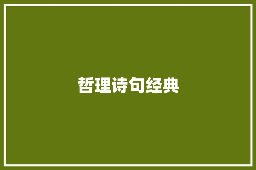 哲理诗句经典