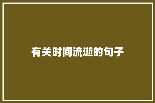有关时间流逝的句子