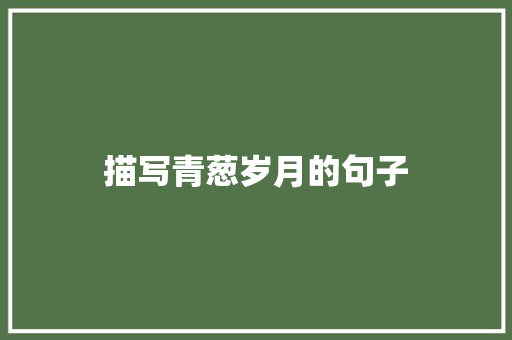 描写青葱岁月的句子