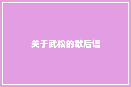 关于武松的歇后语