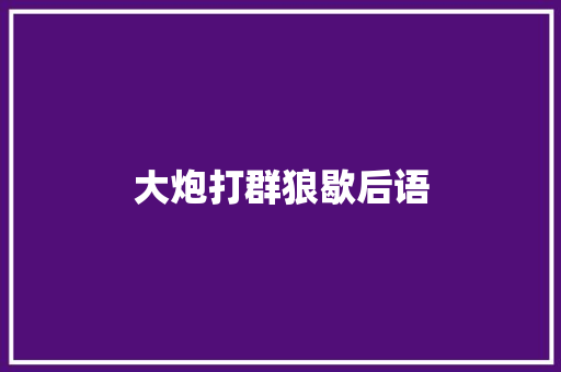 大炮打群狼歇后语