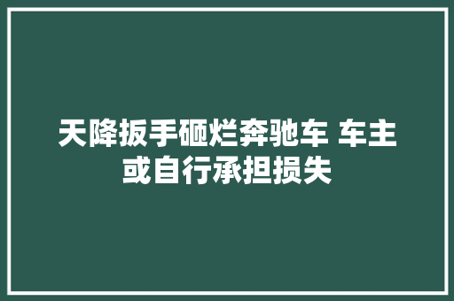 天降扳手砸烂奔驰车 车主或自行承担损失 汽车知识