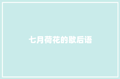 七月荷花的歇后语