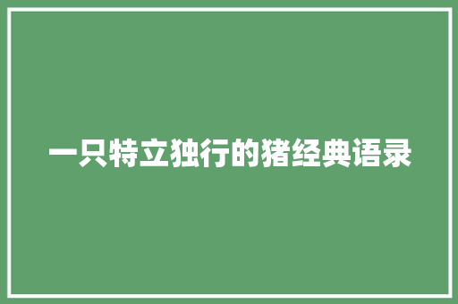 一只特立独行的猪经典语录