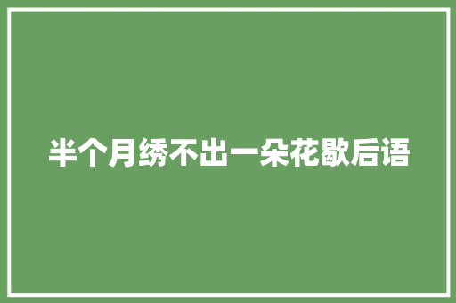 半个月绣不出一朵花歇后语