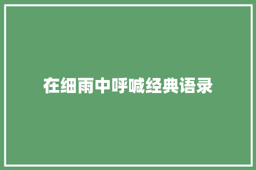 在细雨中呼喊经典语录