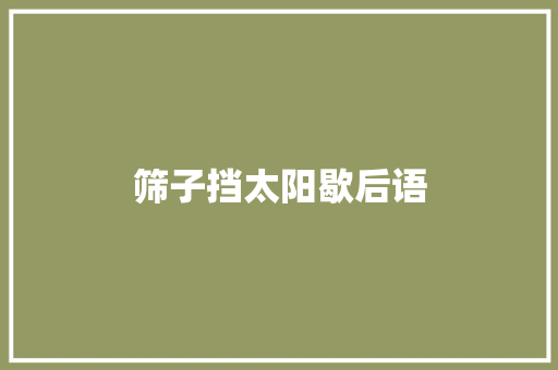 筛子挡太阳歇后语