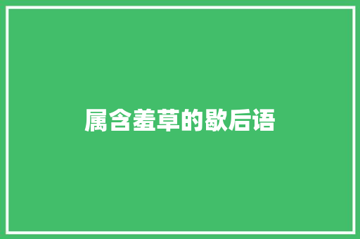 属含羞草的歇后语