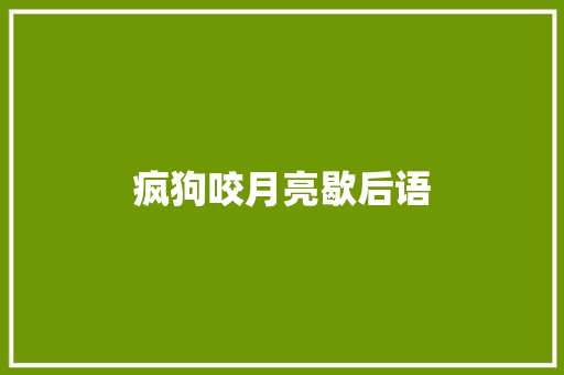 疯狗咬月亮歇后语