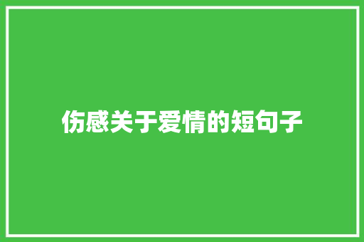 伤感关于爱情的短句子