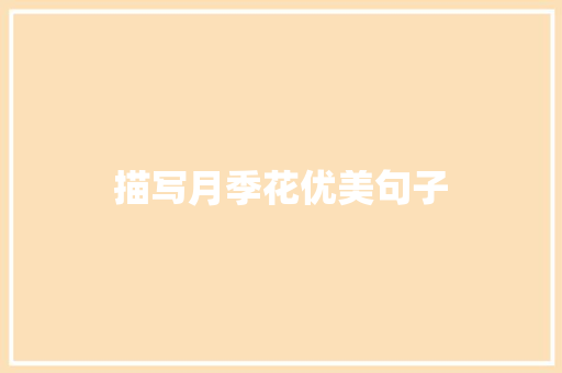 描写月季花优美句子