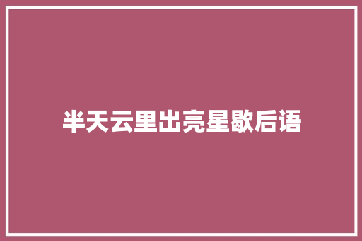 半天云里出亮星歇后语
