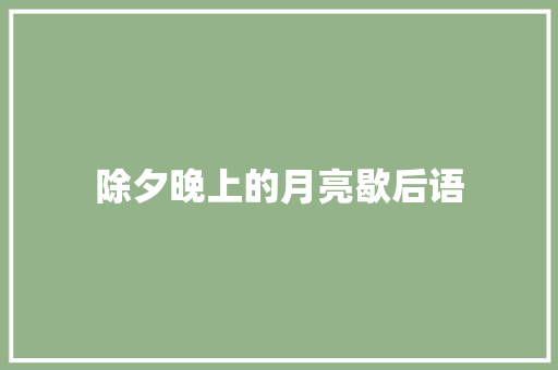 除夕晚上的月亮歇后语