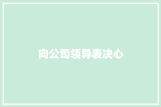 向公司领导表决心