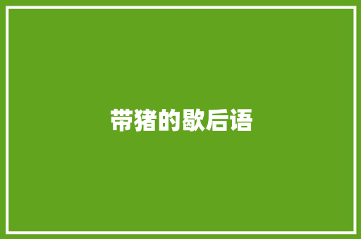 带猪的歇后语