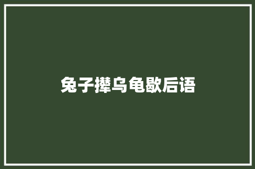 兔子撵乌龟歇后语