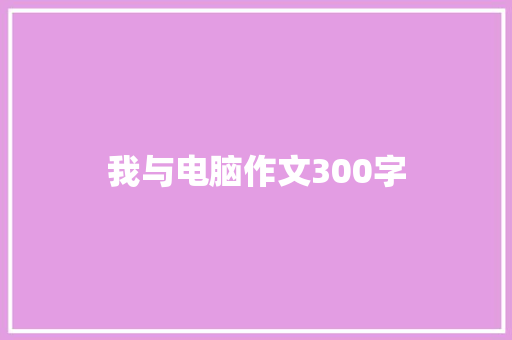 我与电脑作文300字