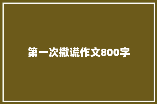 第一次撒谎作文800字