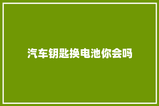 汽车钥匙换电池你会吗 汽车知识