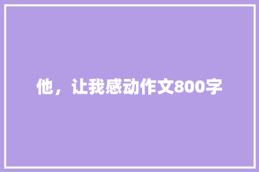 他，让我感动作文800字