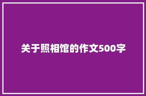 关于照相馆的作文500字