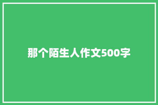 那个陌生人作文500字