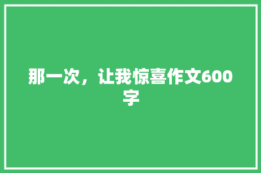 那一次，让我惊喜作文600字