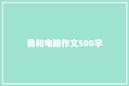 我和电脑作文500字