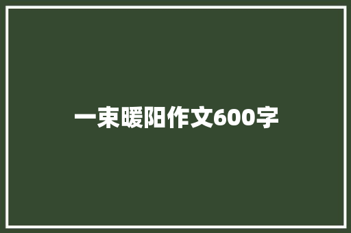 一束暖阳作文600字
