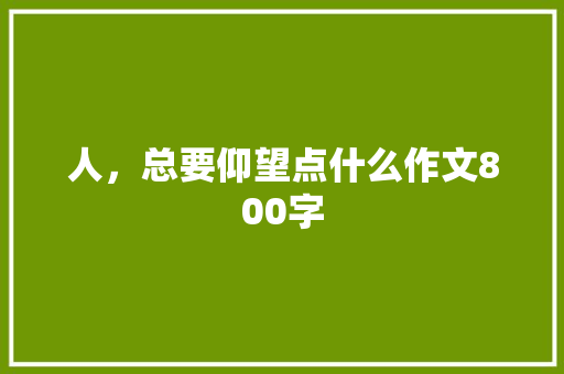 人，总要仰望点什么作文800字 知识百科