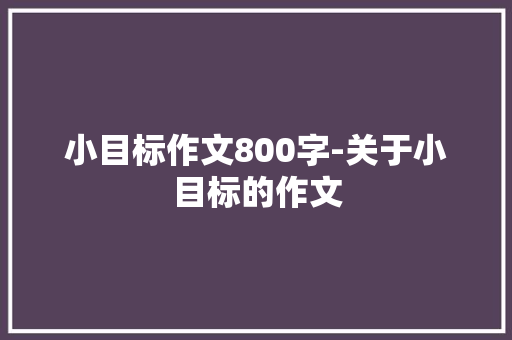 小目标作文800字-关于小目标的作文