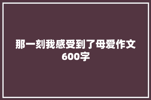 那一刻我感受到了母爱作文600字