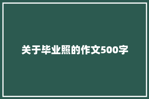 关于毕业照的作文500字