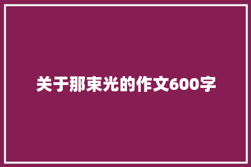 关于那束光的作文600字