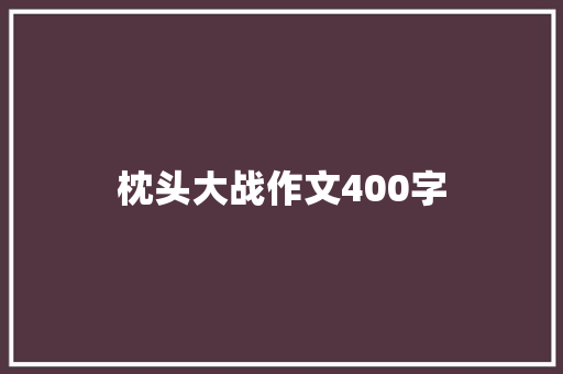 枕头大战作文400字