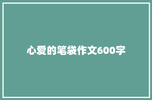 心爱的笔袋作文600字