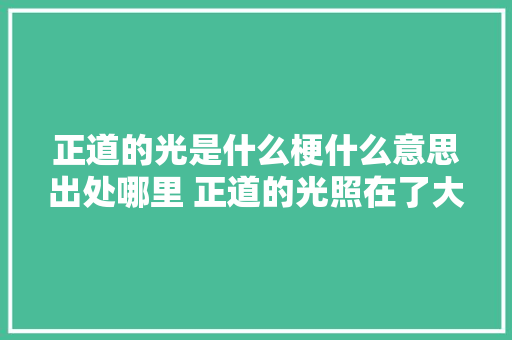 正道的光是什么梗什么意思出处哪里 正道的光照在了大年夜地上是什么歌