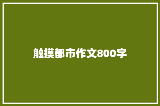 触摸都市作文800字