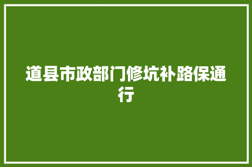 道县市政部门修坑补路保通行