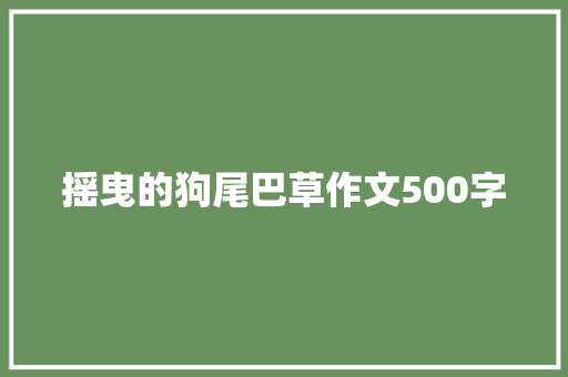 摇曳的狗尾巴草作文500字