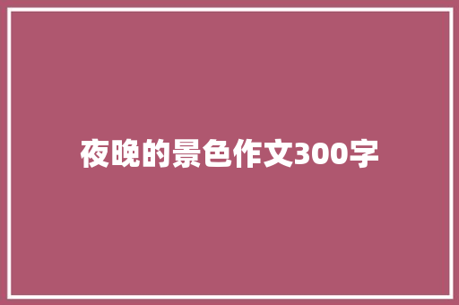 夜晚的景色作文300字