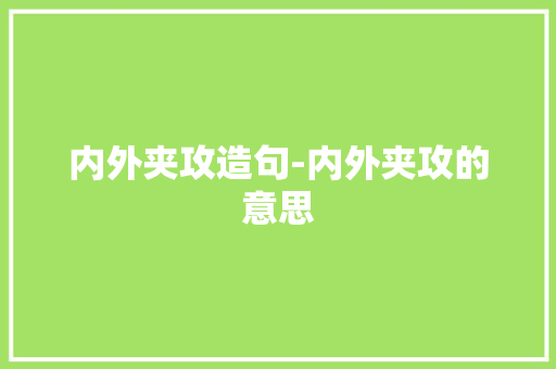 内外夹攻造句-内外夹攻的意思